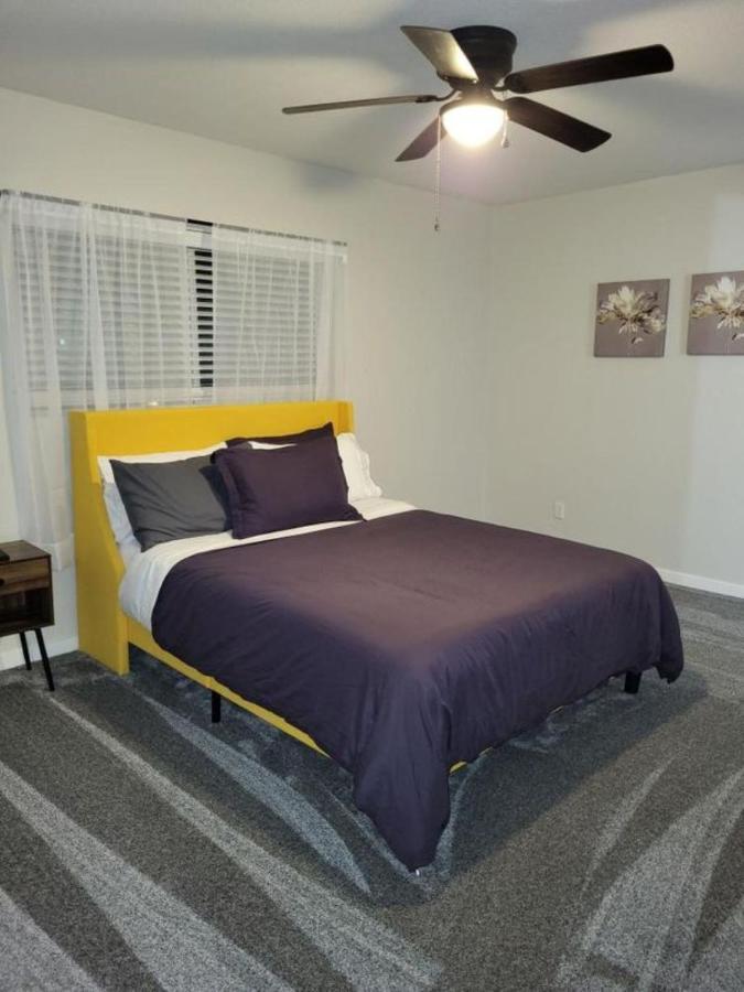 Hidden Gem In Area Apartamento *