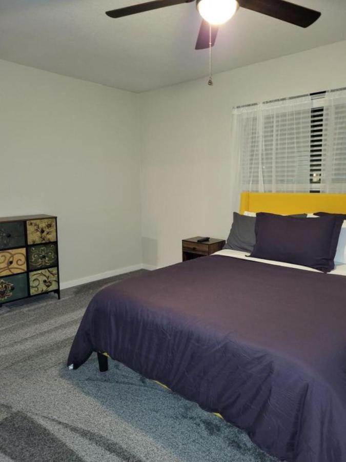 Hidden Gem In Area Apartamento